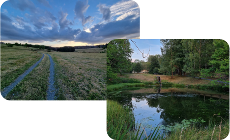 Übereinander lagernde Bilder von Hohegeiß. Auf einem sieht man einen Feldweg unter majästetischen Wolken, auf dem anderen den Teich im Kurpark.